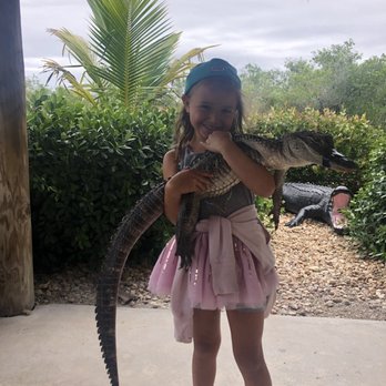 gator park - Boat Tours Near Me - Miami, Florida gator park - Boat Tours Near Me - Miami, Florida