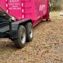 Photo of Dumpster Disposal Solutions