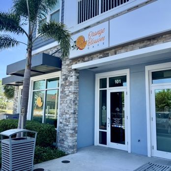 Orange Blossom Cafe - Rear entrance - Breakfast & Brunch Near Me - Dunedin, Florida Orange Blossom Cafe - Rear entrance - Breakfast & Brunch Near Me - Dunedin, Florida