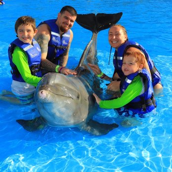 Cabo Adventures - Boat Tours Near Me - Cabo San Lucas, BCS Cabo Adventures - Boat Tours Near Me - Cabo San Lucas, BCS
