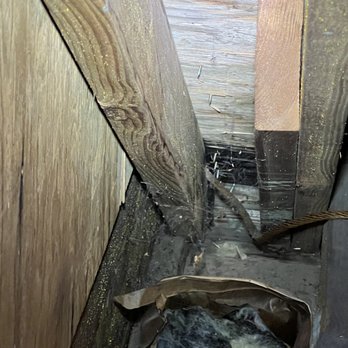 Suntuity Solar - black mold on dry rotted wood sheeting that they did not replace. My entire porch has dry rotted wood they did not replace with the roof - Solar Installation Near Me - Holmdel, New Jersey