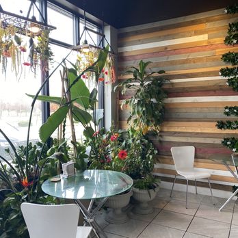 Boba Tea House - Bubble Tea Near Me - Ann Arbor, Michigan