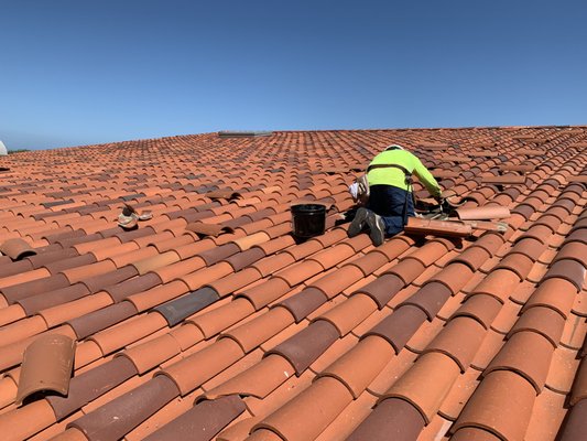 Adele Roofing