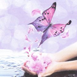 Massage & Body Works - Massage & Body Works