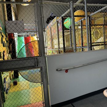 Flip N Out Xtreme - Laser Tag Near Me - Las Vegas, Nevada