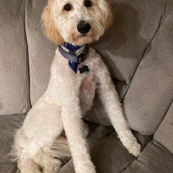 Pet Supplies Plus Plainfield - Pet Groomers Near Me - Plainfield, Illinois