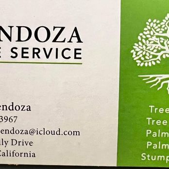 Mendoza Tree Service - Tree Services Near Me - Dinuba, California Mendoza Tree Service - Tree Services Near Me - Dinuba, California