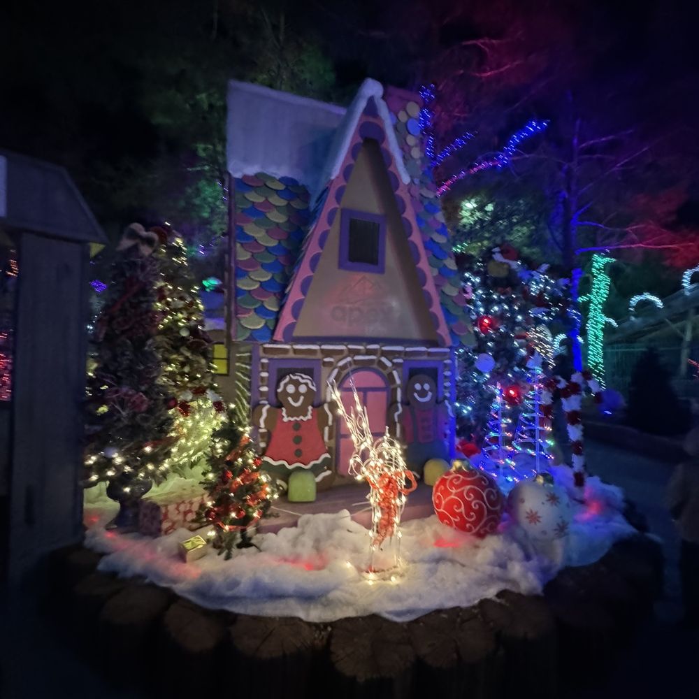 The Magical Forest - Amusement Parks Near Me - Las Vegas, Nevada The Magical Forest - Amusement Parks Near Me - Las Vegas, Nevada