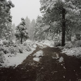 Boca Reservoir - Campgrounds Near Me - Truckee, California