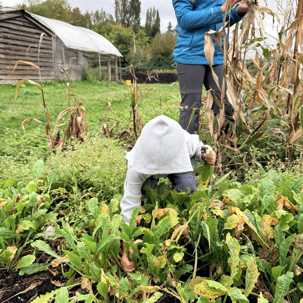 Ecolibrium Farms - Farms Near Me - Redmond, Washington