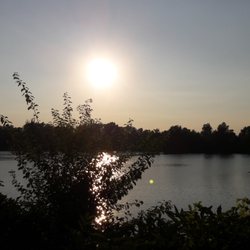 Laguna am Ziegelhofteich - Ausblick