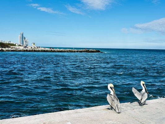 Bal Harbour Beach by null