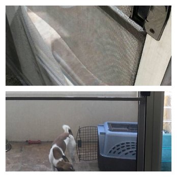 ABC Handyman Hawaii - A large tear on the screen of my inner lanai door was restored in better condition than when I first moved in! Really expert craftsmanship! - Handyman Near Me - Honolulu, Hawaii ABC Handyman Hawaii - A large tear on the screen of my inner lanai door was restored in better condition than when I first moved in! Really expert craftsmanship! - Handyman Near Me - Honolulu, Hawaii