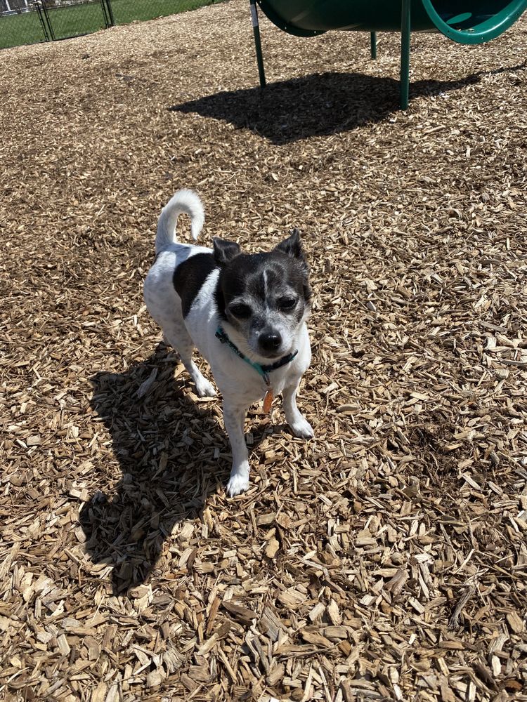 o Jupiter Florida Real Estate For Sale