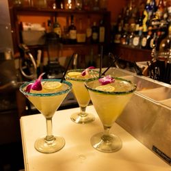 Los Tios Grill Leesburg - Los Tíos grill best Margaritas in Leesburg