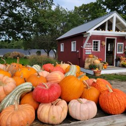 Maplebrook Farmstead