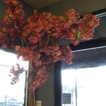 EAT - Cherry Blossom tree above our heads. Looked so real. Part of the restaurant decor. - Breakfast & Brunch Near Me - North Hollywood, California