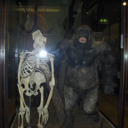 Natural History Museum at Tring
