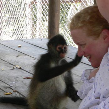 The Jungle Place - Animal Shelters Near Me - Chemuyil, ROO The Jungle Place - Animal Shelters Near Me - Chemuyil, ROO