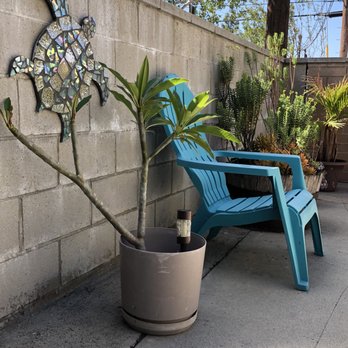 Maloof Chiropractic - Relax in our inviting patio before and after your appt. - Chiropractors Near Me - Montrose, California Maloof Chiropractic - Relax in our inviting patio before and after your appt. - Chiropractors Near Me - Montrose, California