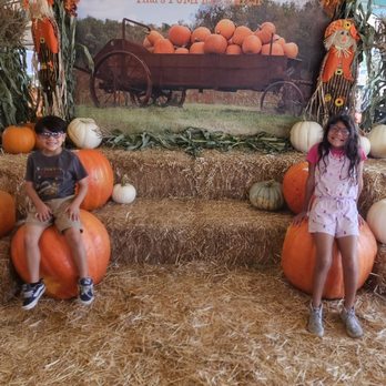 Tina's Pumpkin Patch - First patch of the season - Pumpkin Patches Near Me - Sherman Oaks, California Tina's Pumpkin Patch - First patch of the season - Pumpkin Patches Near Me - Sherman Oaks, California