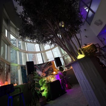 The Oliv Bar - Fire drinks great music and event better vibes for sundays - Venues & Event Spaces Near Me - Orlando, Florida The Oliv Bar - Fire drinks great music and event better vibes for sundays - Venues & Event Spaces Near Me - Orlando, Florida