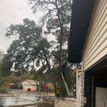 H O W Foundation - Cutting tree in from yard. - Tree Services Near Me - Schertz, Texas H O W Foundation - Cutting tree in from yard. - Tree Services Near Me - Schertz, Texas