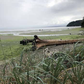 Dash Point State Park - Parks Near Me - Federal Way, Washington Dash Point State Park - Parks Near Me - Federal Way, Washington