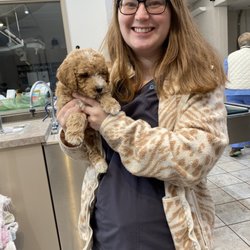 Deer Park Veterinary Hospital