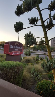 Residence Inn By Marriott 41 Photos 22 Reviews Hotels 3021