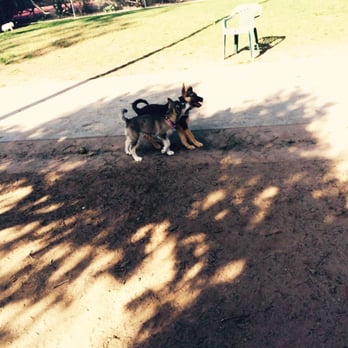 Costa Mesa Bark Park - My germane shepherd and a husky - Dog Parks Near Me - Costa Mesa, California Costa Mesa Bark Park - My germane shepherd and a husky - Dog Parks Near Me - Costa Mesa, California