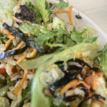 Mandy's - Salad Near Me - Montreal, Quebec
