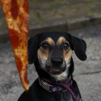 Romans Pizzeria - Pizza Near Me - Ligonier, Pennsylvania Romans Pizzeria - Pizza Near Me - Ligonier, Pennsylvania