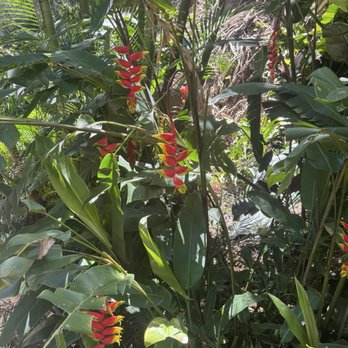 Waimea Valley - Venues & Event Spaces Near Me - Haleiwa, Hawaii Waimea Valley - Venues & Event Spaces Near Me - Haleiwa, Hawaii
