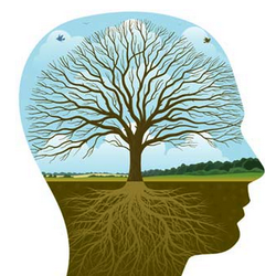 Delray Holistic Therapy