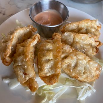 Chicago Ramen - Gyoza - Ramen Near Me - Des Plaines, Illinois