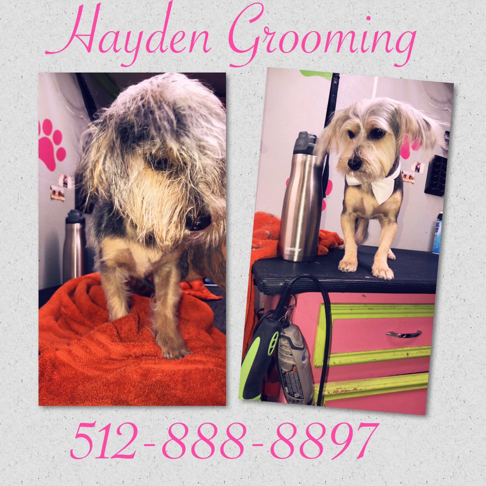 HAYDEN GROOMING 145 Photos & 17 Reviews Leander, Texas Pet