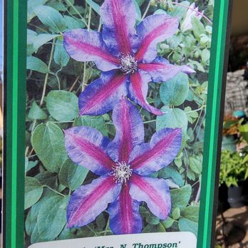 Kraemer's Garden - Nurseries & Gardening Near Me - McMinnville, Oregon