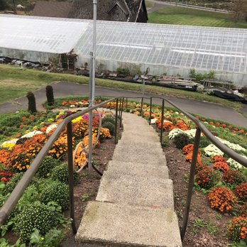 Ott's Exotic Plants - Nurseries & Gardening Near Me - Schwenksville, Pennsylvania Ott's Exotic Plants - Nurseries & Gardening Near Me - Schwenksville, Pennsylvania