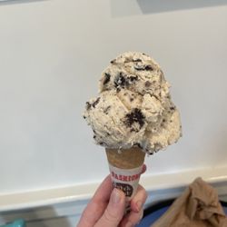 Emack & Bolio's Ice Cream and Yogurt - Peanut butter oreo - very good didn't taste too artificial! long lines and cash only btw