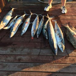 Reelin' Pelican Fishing Charters Southport