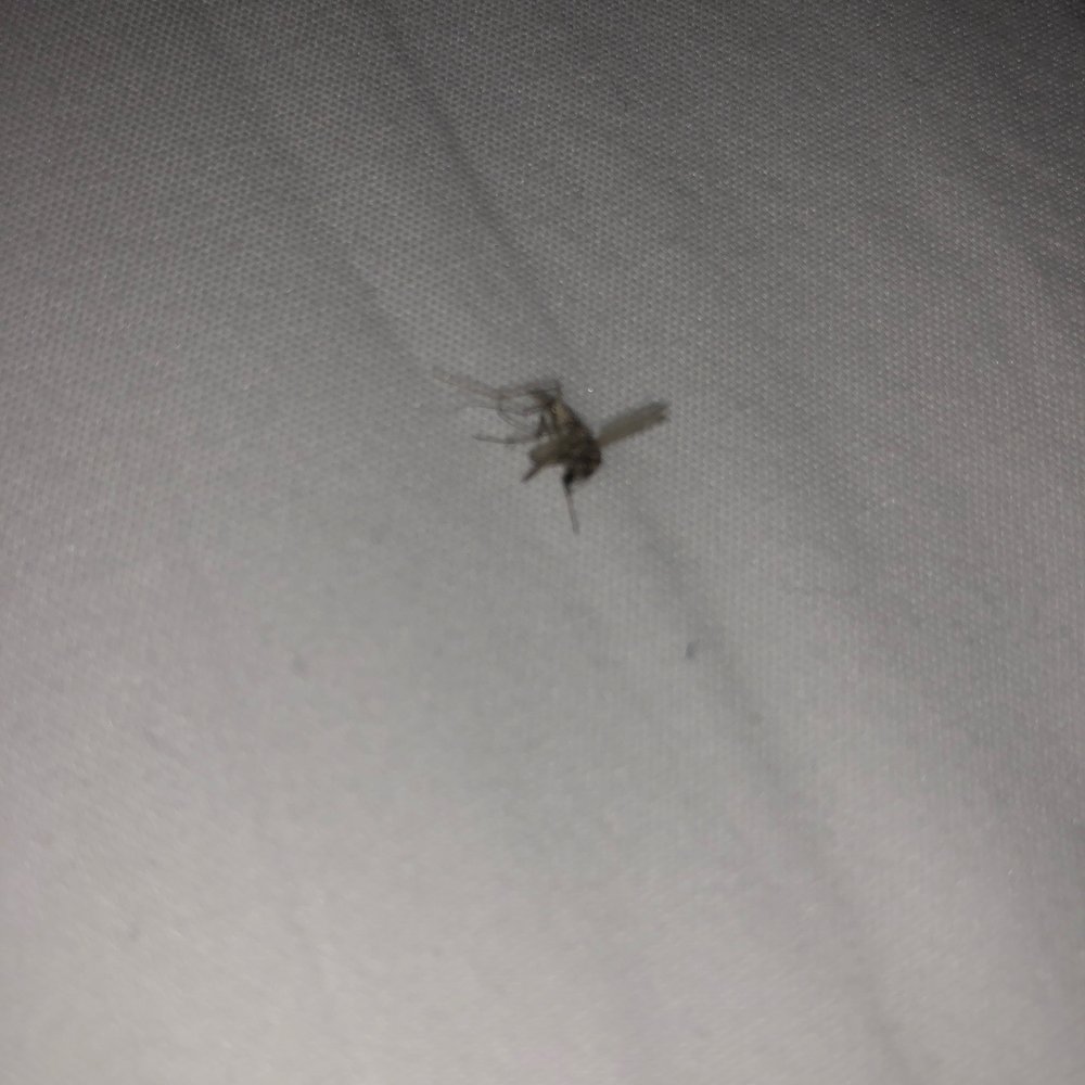 Åppellation - This was swarming around me 2nd one I found - Venues & Event Spaces Near Me - Lodi, California Åppellation - This was swarming around me 2nd one I found - Venues & Event Spaces Near Me - Lodi, California