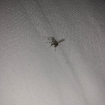 Åppellation - This was swarming around me 2nd one I found - Venues & Event Spaces Near Me - Lodi, California Åppellation - This was swarming around me 2nd one I found - Venues & Event Spaces Near Me - Lodi, California
