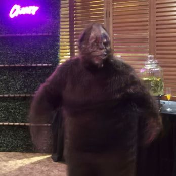 Stancato's Italian Restaurant - Even saw a big foot!!!! - Italian Near Me - Parma, Ohio Stancato's Italian Restaurant - Even saw a big foot!!!! - Italian Near Me - Parma, Ohio