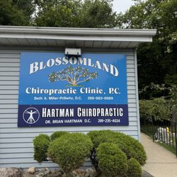 Blossomland Chiropractic Clinic