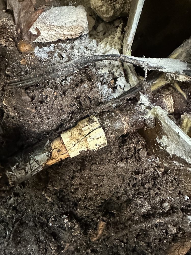 Slide of Affordable Drain solutions