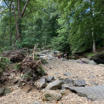 Dora Kelley Nature Park - Parks Near Me - Alexandria, Virginia Dora Kelley Nature Park - Parks Near Me - Alexandria, Virginia