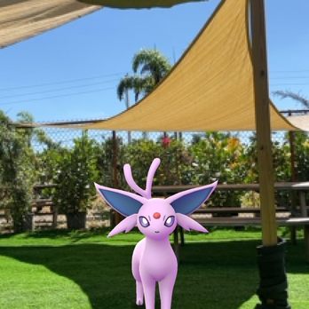 WILLY Cafe And Market - Outside seating area + Espeon Pokémon - Juice Bars & Smoothies Near Me - Boynton Beach, Florida WILLY Cafe And Market - Outside seating area + Espeon Pokémon - Juice Bars & Smoothies Near Me - Boynton Beach, Florida