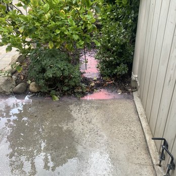 NextDoor Construction & Remodeling - Poured paint into our lemon tree - General Contractors Near Me - Los Angeles, California