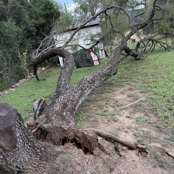Worley Tree & Yard Service - My tree that had fallen over - Tree Services Near Me - Granite Shoals, Texas Worley Tree & Yard Service - My tree that had fallen over - Tree Services Near Me - Granite Shoals, Texas